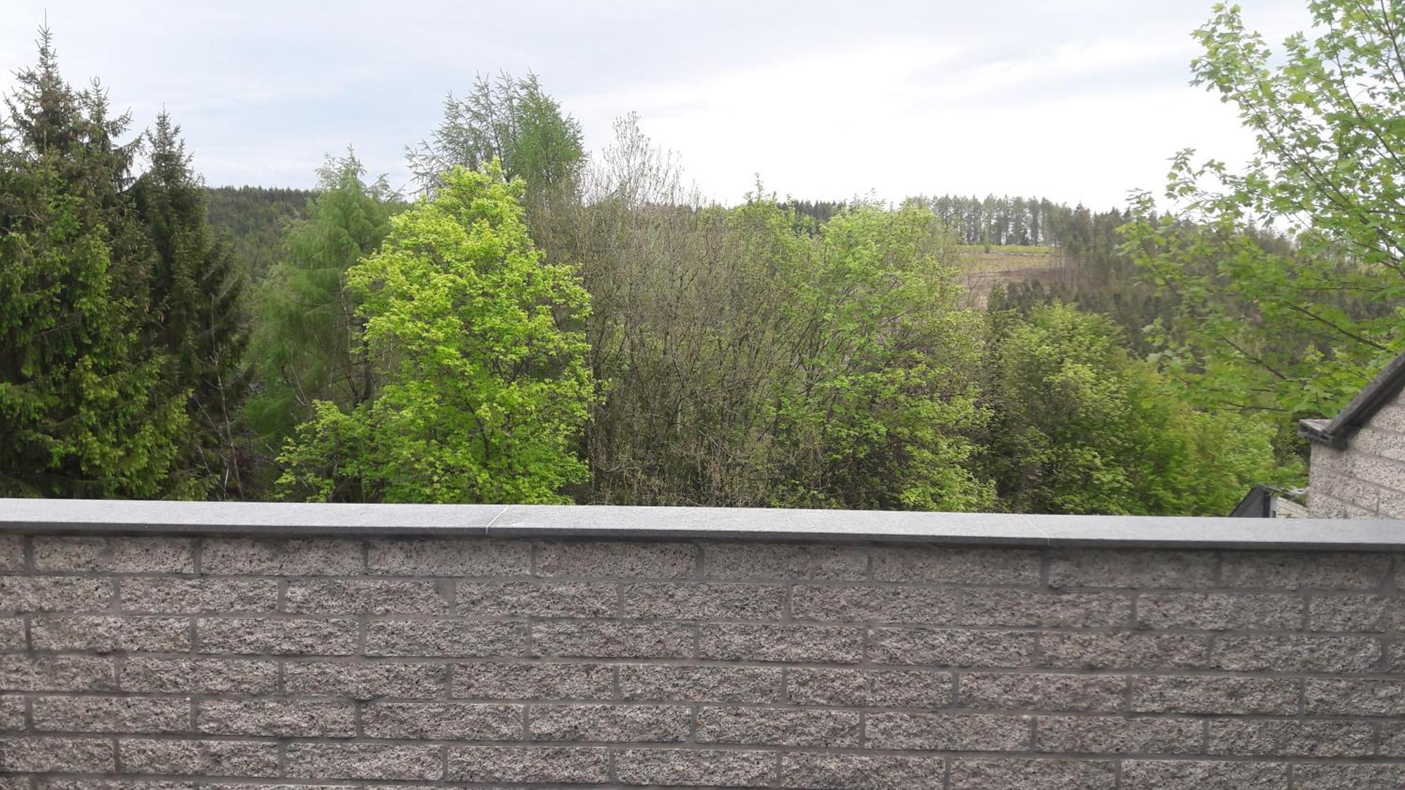 Ferienwohnung Terrasses De Malmedy H&H Exterior foto